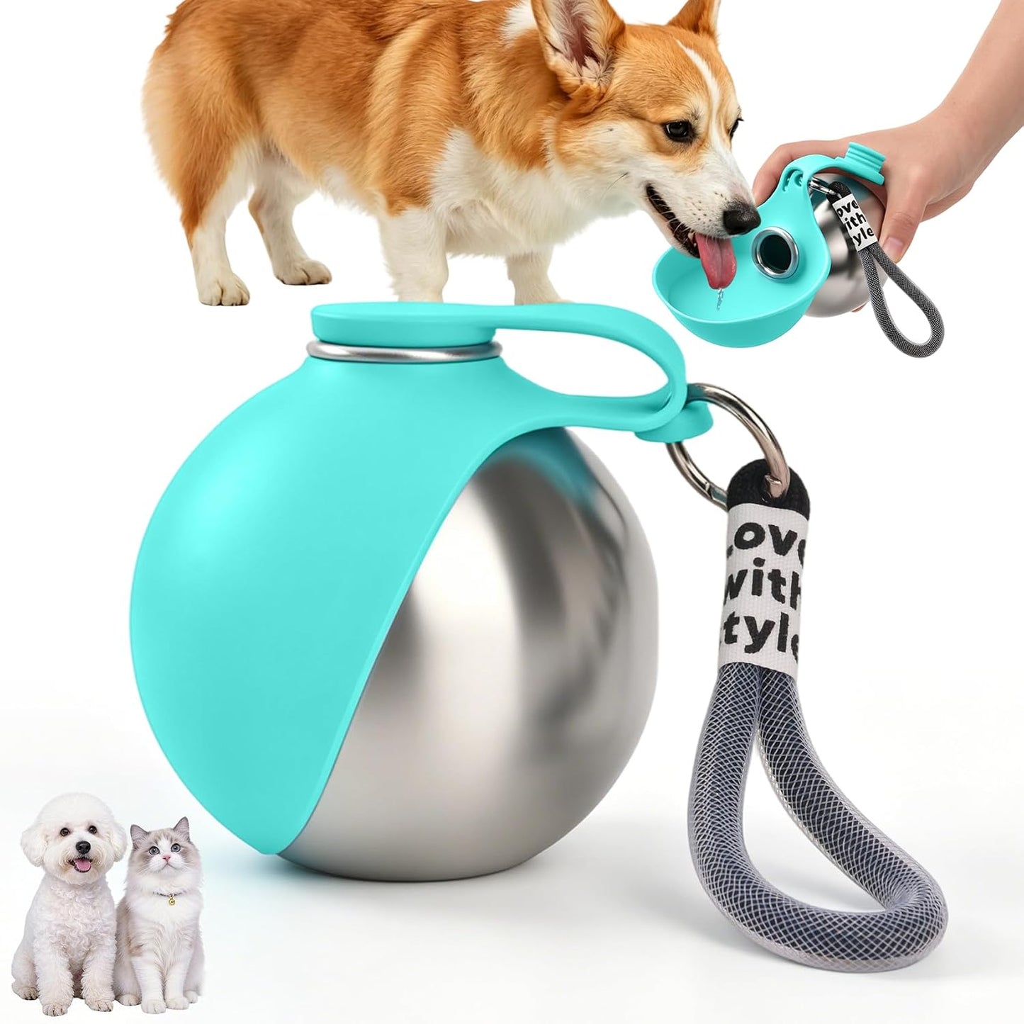 Bebedero Portátil para Perros
